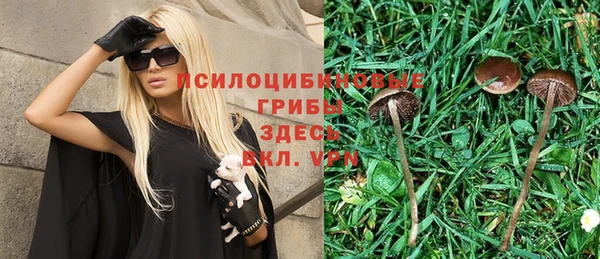 винт Белокуриха