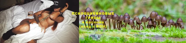 мяу мяу мука Балабаново