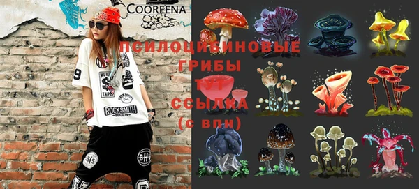 мяу мяу мука Балабаново