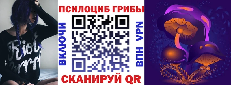 Купить  Нюрба  Псилоцибиновые грибы MAGIC MUSHROOMS 